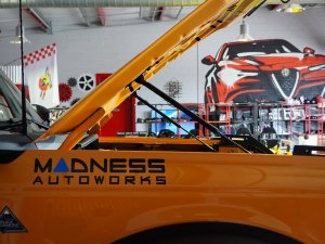 Ford Bronco Hood Strut Kit - Carbon Steel - Black